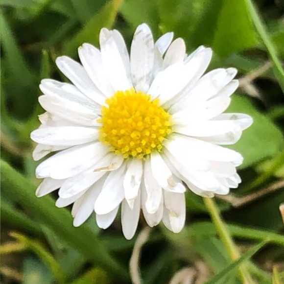 Meet your Posher, Gaby - Picture 1 of 1